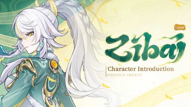 Build Zibai Genshin Impact: DEF Enjoyer, We Are So Back